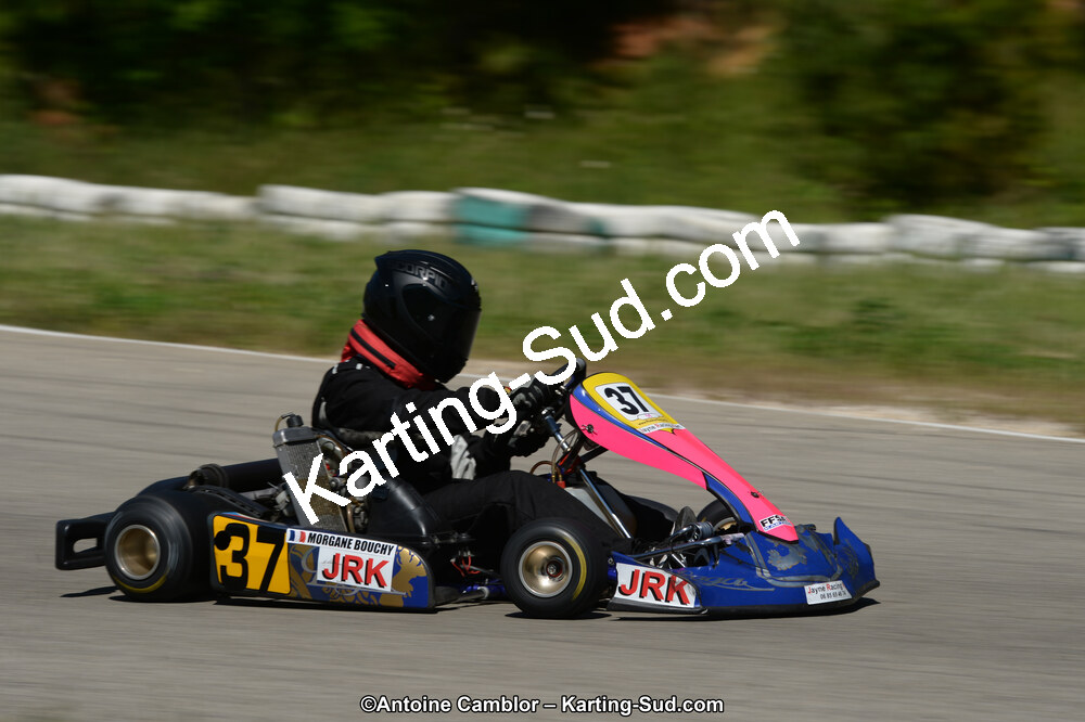 02/06/2013 : 4ème manche du Championnat du Sud 2013 à Alès (Photos Antoine Camblor) 2013 — karting
