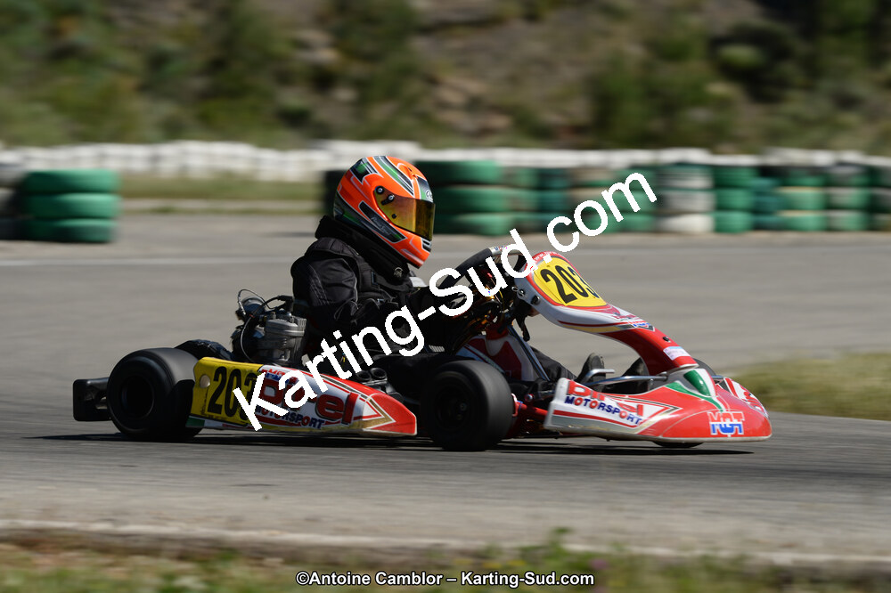 02/06/2013 : 4ème manche du Championnat du Sud 2013 à Alès (Photos Antoine Camblor) 2013 — karting
