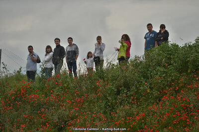 09/06/2013 : Course Club de Muret (Photos Antoine Camblor) 2013 — karting