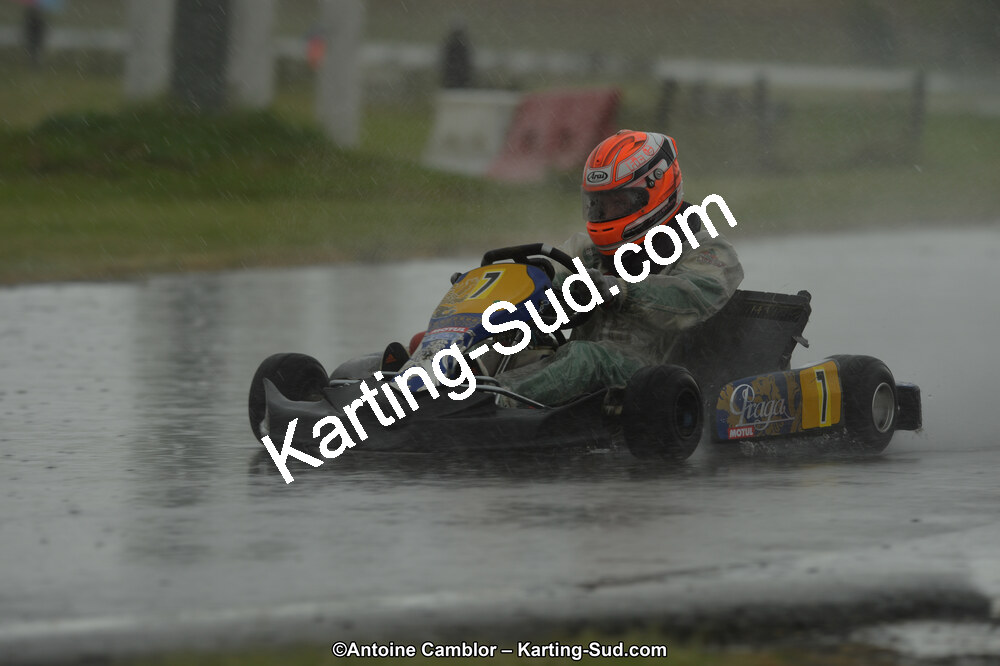 DSC_2455.jpg
