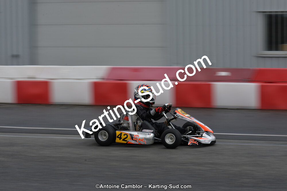 DSC_2931.jpg