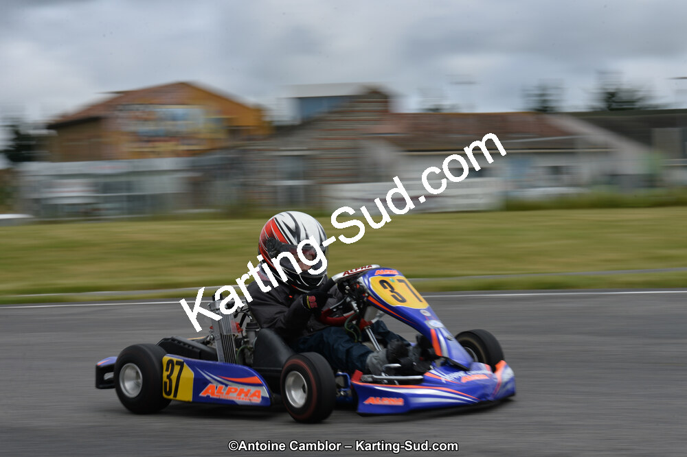 DSC_2954.jpg