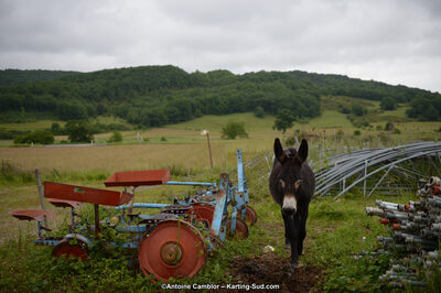 22 & 23/06/2013 : Handikart & Club de Lavelanet (Photos Antoine Camblor) 2013 — karting