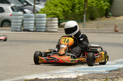 22 & 23/06/2013 : Handikart & Club de Lavelanet (Photos Antoine Camblor) 2013 — karting