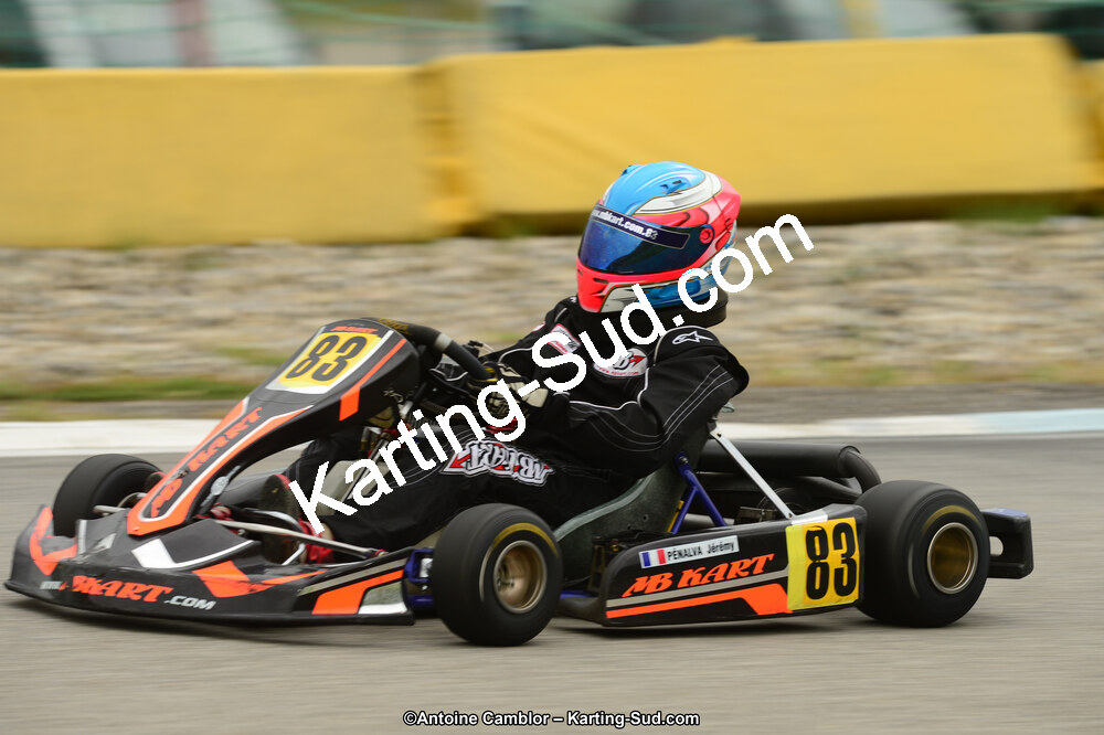 22 & 23/06/2013 : Handikart & Club de Lavelanet (Photos Antoine Camblor) 2013 — karting