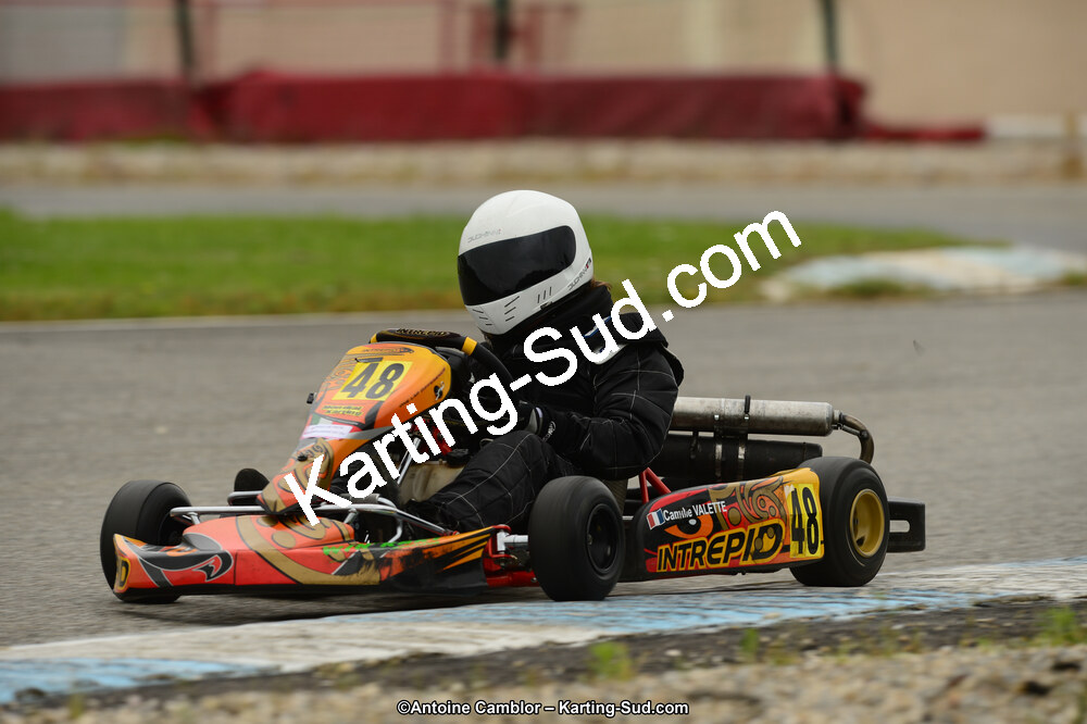 22 & 23/06/2013 : Handikart & Club de Lavelanet (Photos Antoine Camblor) 2013 — karting