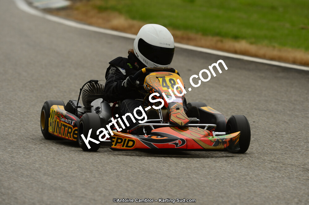22 & 23/06/2013 : Handikart & Club de Lavelanet (Photos Antoine Camblor) 2013 — karting