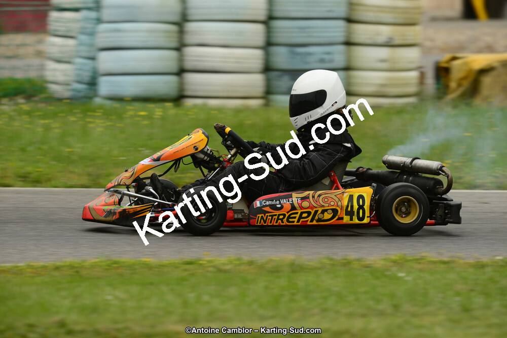 22 & 23/06/2013 : Handikart & Club de Lavelanet (Photos Antoine Camblor) 2013 — karting