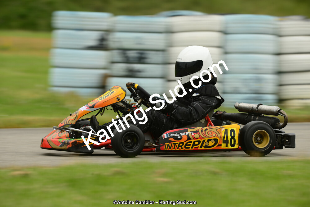 22 & 23/06/2013 : Handikart & Club de Lavelanet (Photos Antoine Camblor) 2013 — karting