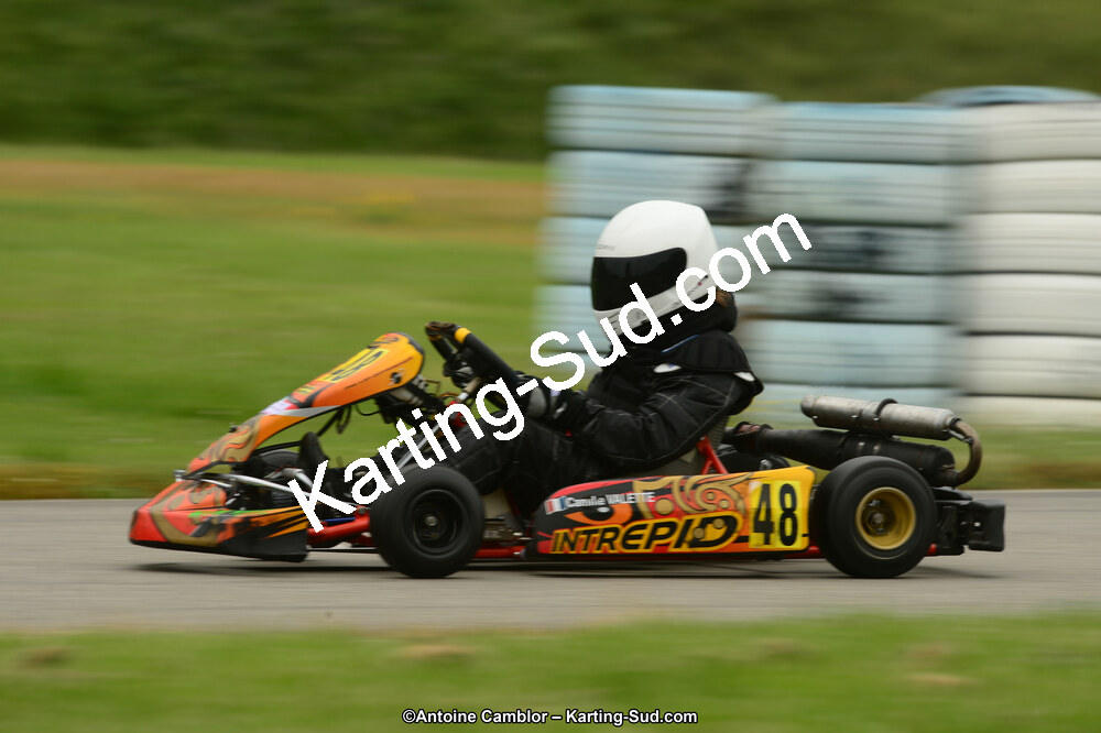22 & 23/06/2013 : Handikart & Club de Lavelanet (Photos Antoine Camblor) 2013 — karting