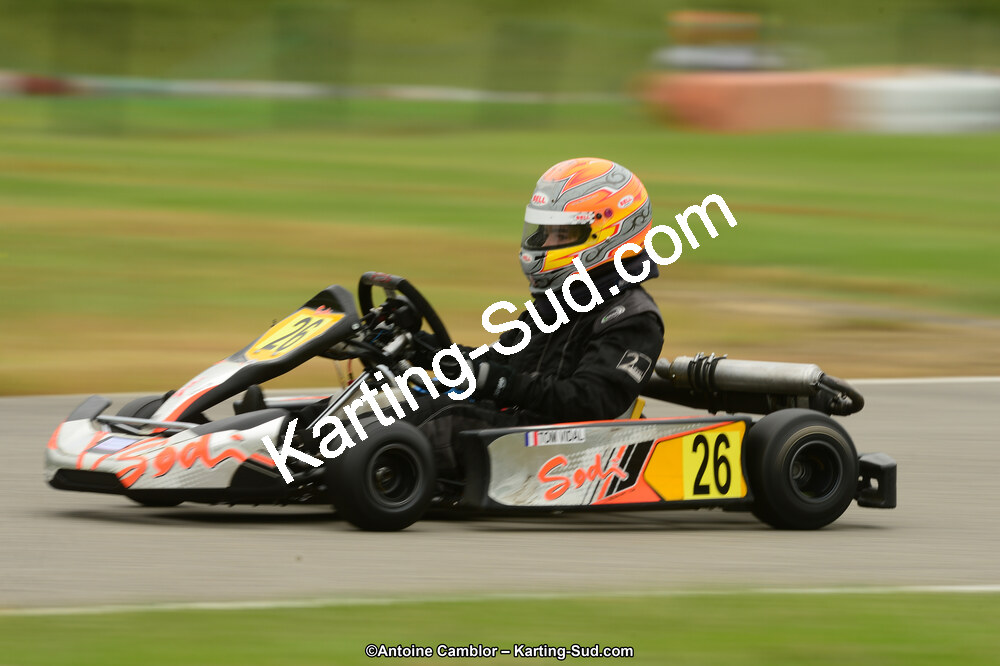 22 & 23/06/2013 : Handikart & Club de Lavelanet (Photos Antoine Camblor) 2013 — karting