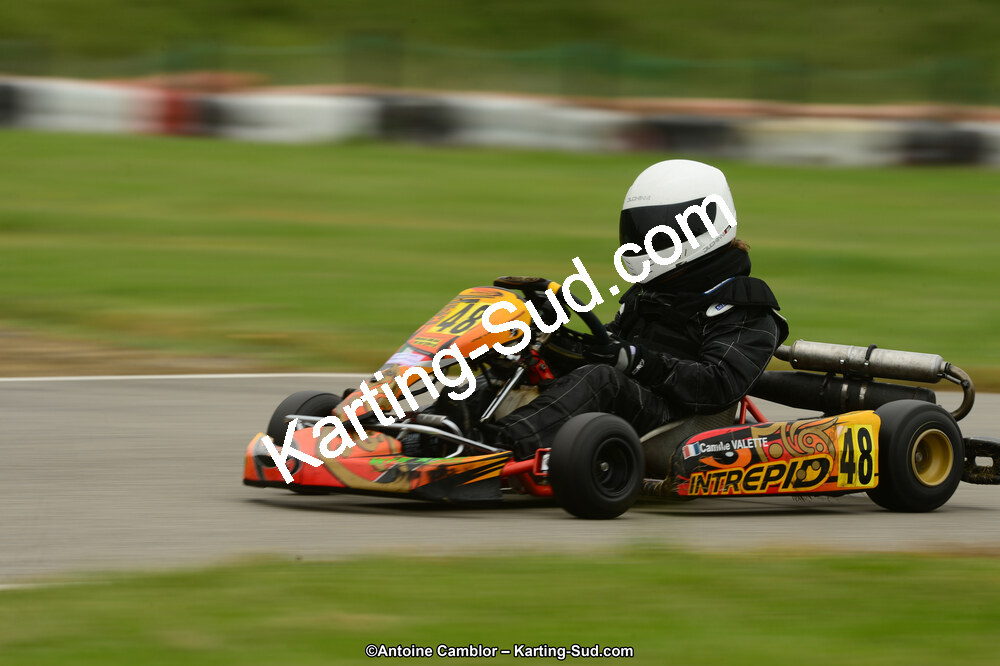 22 & 23/06/2013 : Handikart & Club de Lavelanet (Photos Antoine Camblor) 2013 — karting