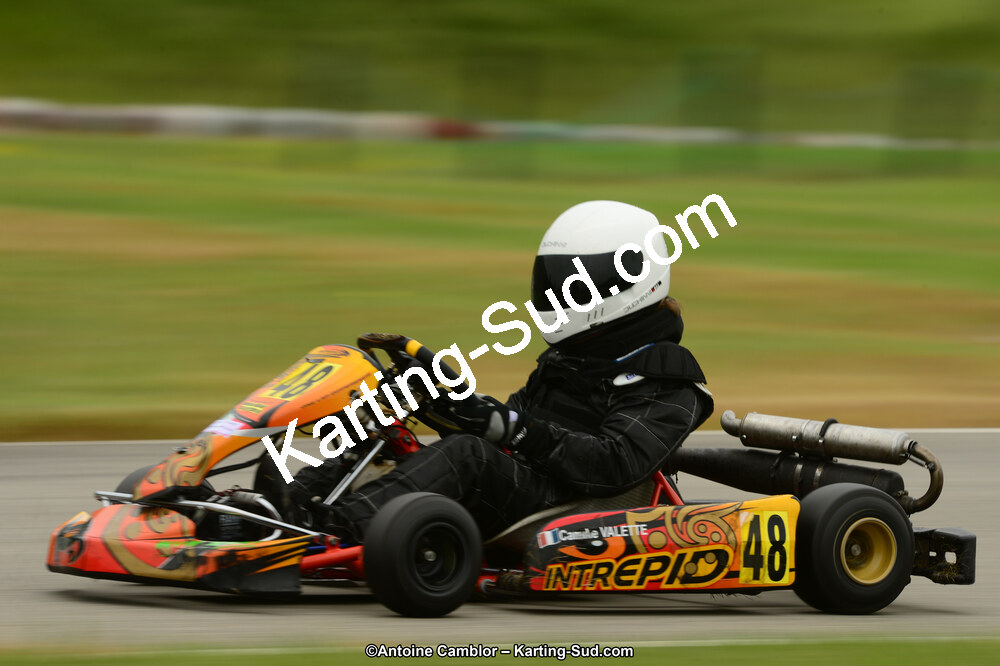 22 & 23/06/2013 : Handikart & Club de Lavelanet (Photos Antoine Camblor) 2013 — karting