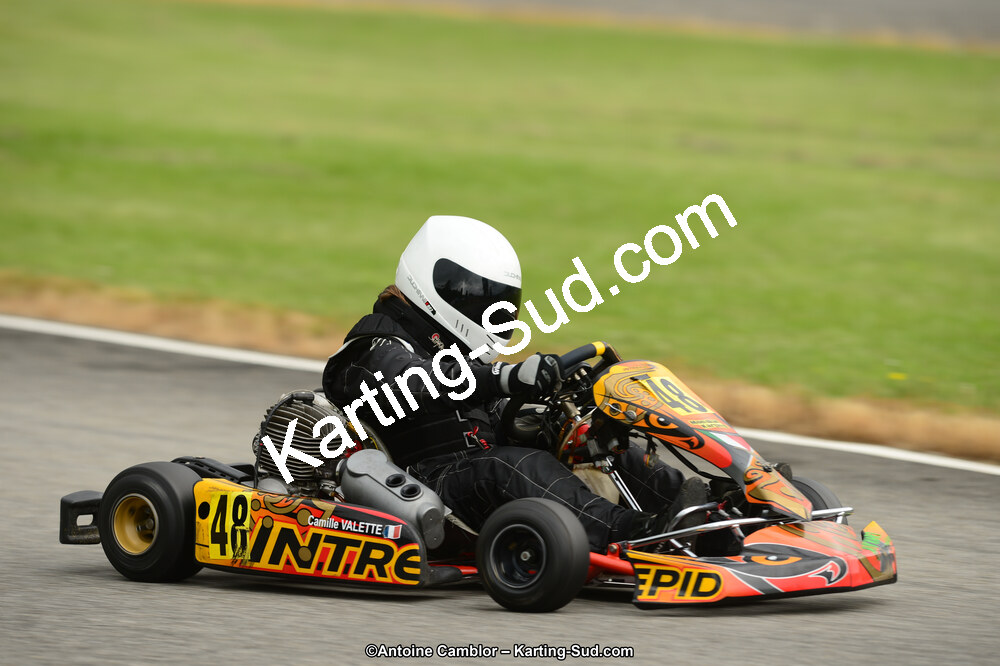22 & 23/06/2013 : Handikart & Club de Lavelanet (Photos Antoine Camblor) 2013 — karting