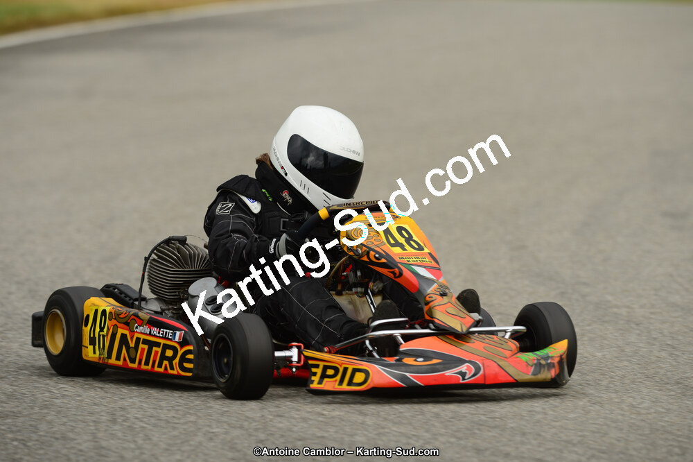 22 & 23/06/2013 : Handikart & Club de Lavelanet (Photos Antoine Camblor) 2013 — karting