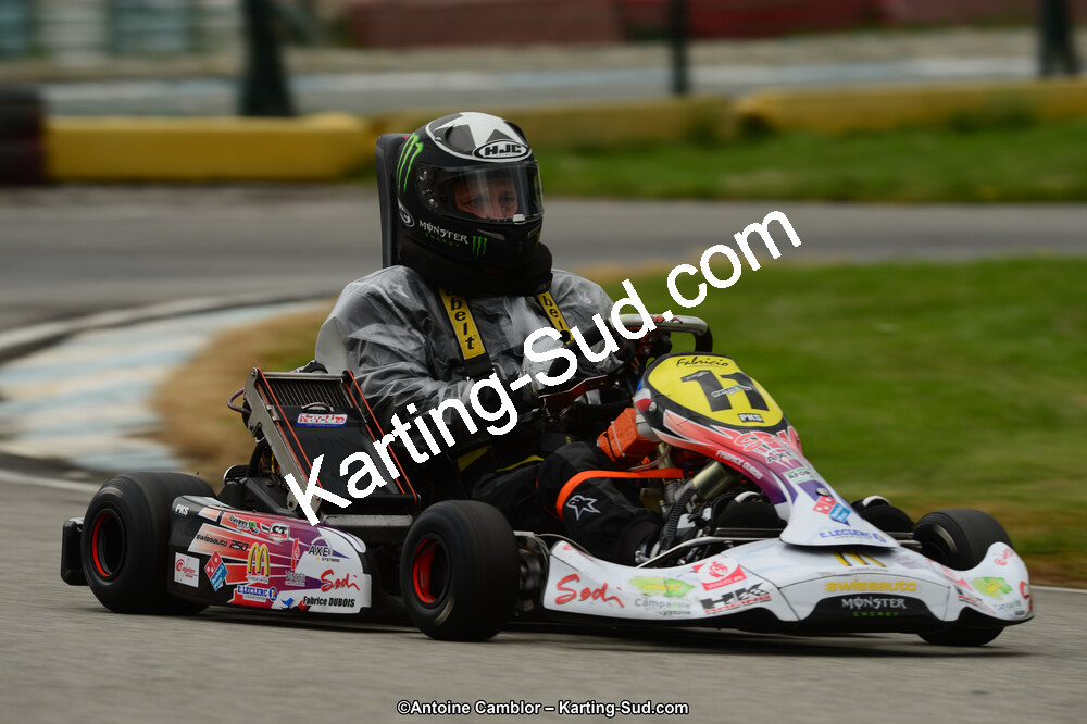 22 & 23/06/2013 : Handikart & Club de Lavelanet (Photos Antoine Camblor) 2013 — karting
