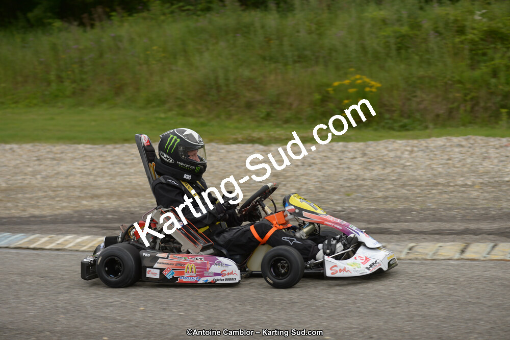 DSC_8275.jpg