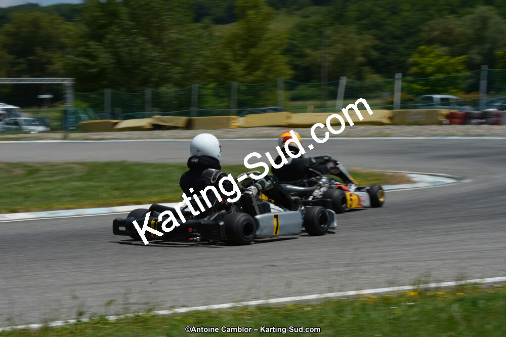 DSC_8508.jpg