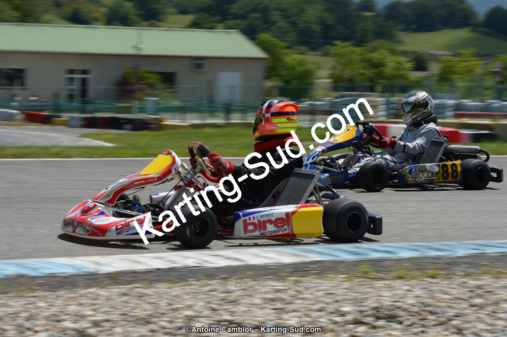 DSC_8534.jpg