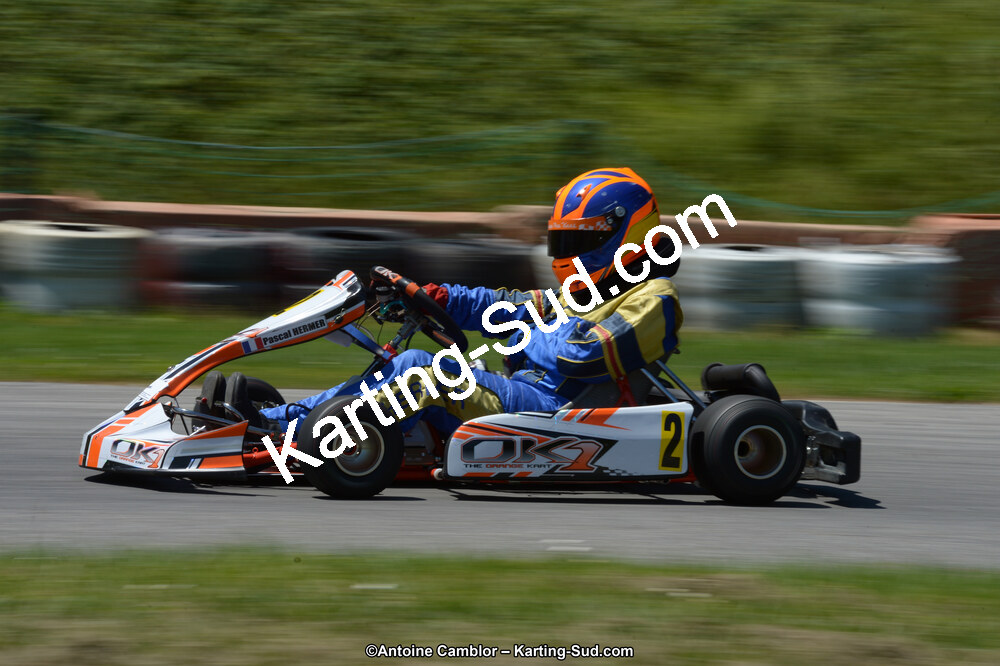 22 & 23/06/2013 : Handikart & Club de Lavelanet (Photos Antoine Camblor) 2013 — karting