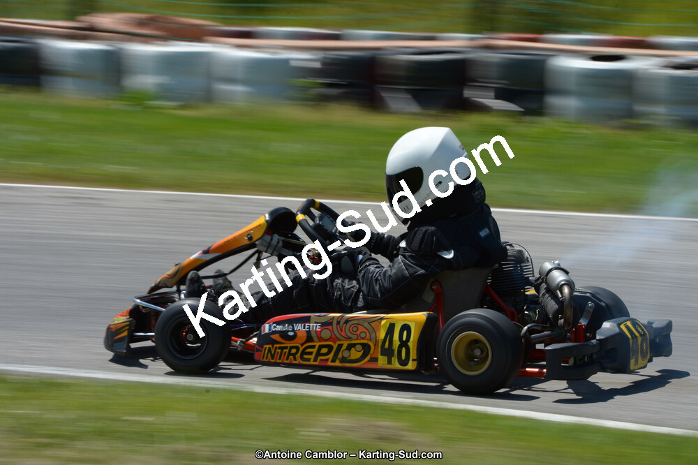 22 & 23/06/2013 : Handikart & Club de Lavelanet (Photos Antoine Camblor) 2013 — karting