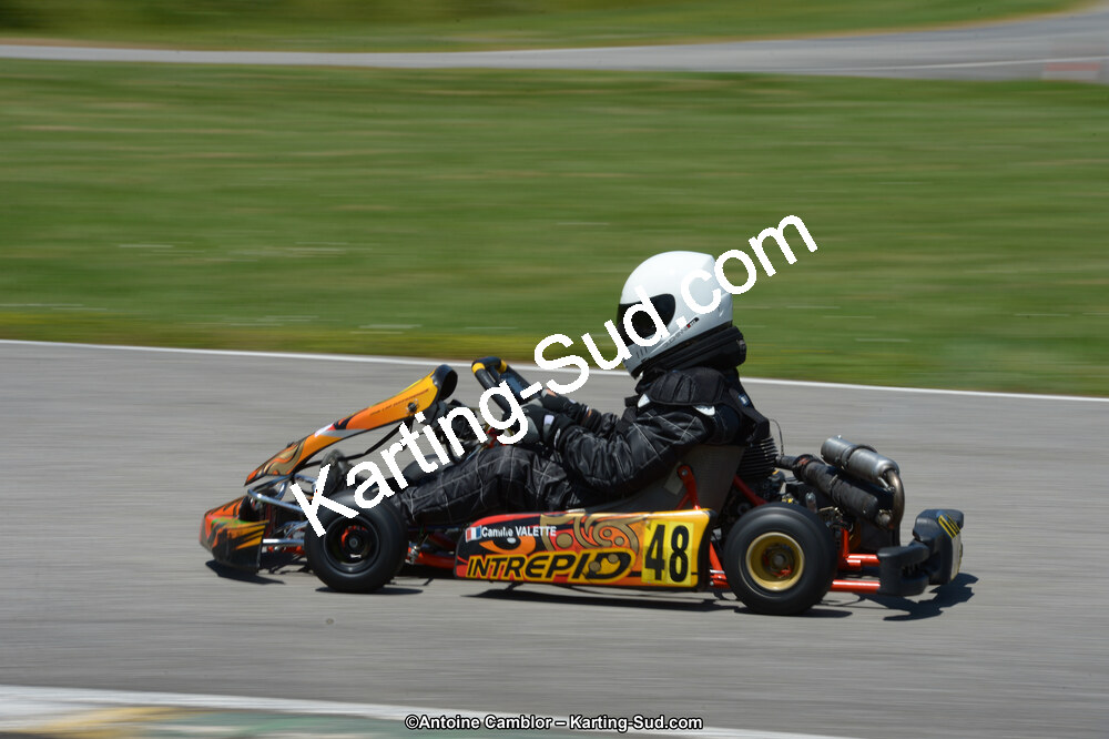 22 & 23/06/2013 : Handikart & Club de Lavelanet (Photos Antoine Camblor) 2013 — karting