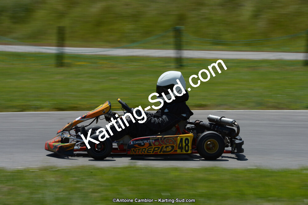 22 & 23/06/2013 : Handikart & Club de Lavelanet (Photos Antoine Camblor) 2013 — karting