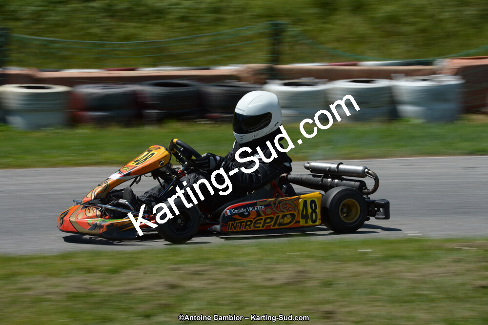22 & 23/06/2013 : Handikart & Club de Lavelanet (Photos Antoine Camblor) 2013 — karting