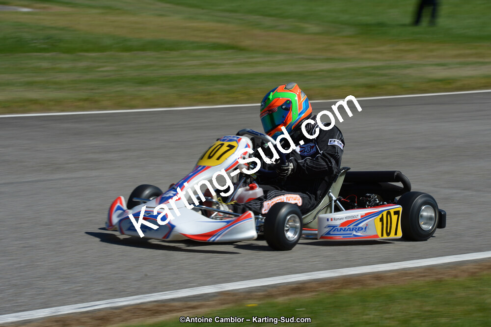 DSC_9036.jpg