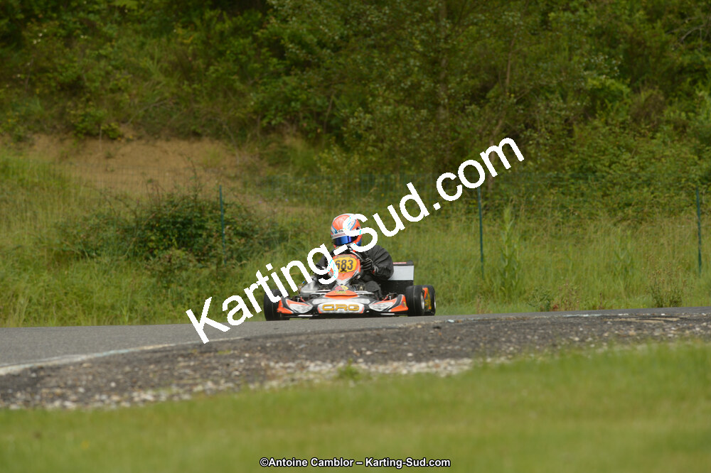 22 & 23/06/2013 : Handikart & Club de Lavelanet (Photos Antoine Camblor) 2013 — karting