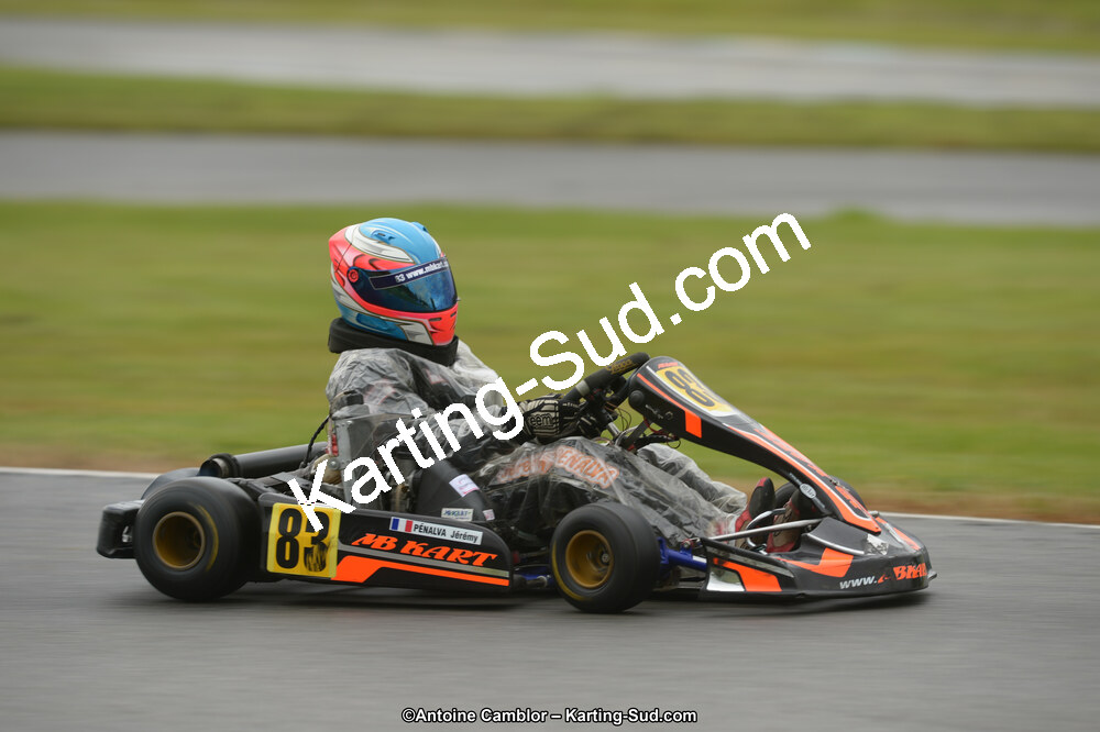 22 & 23/06/2013 : Handikart & Club de Lavelanet (Photos Antoine Camblor) 2013 — karting