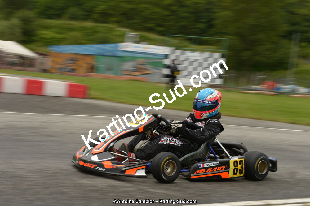 22 & 23/06/2013 : Handikart & Club de Lavelanet (Photos Antoine Camblor) 2013 — karting