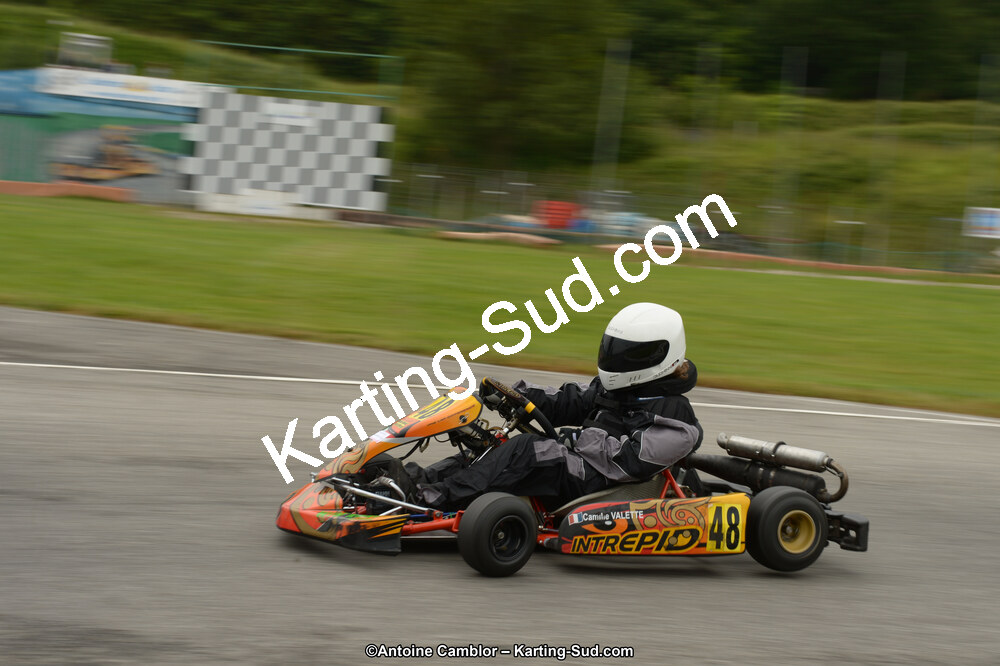 22 & 23/06/2013 : Handikart & Club de Lavelanet (Photos Antoine Camblor) 2013 — karting