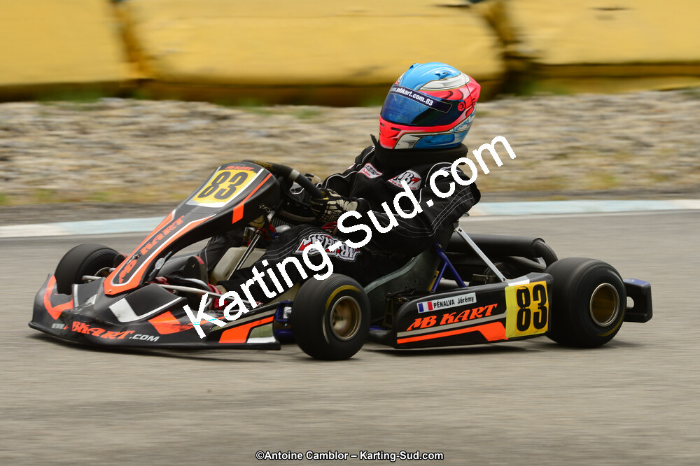 22 & 23/06/2013 : Handikart & Club de Lavelanet (Photos Antoine Camblor) 2013 — karting