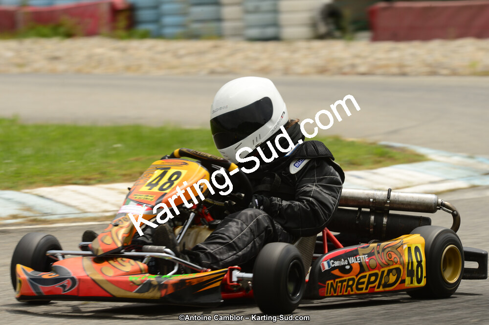 22 & 23/06/2013 : Handikart & Club de Lavelanet (Photos Antoine Camblor) 2013 — karting