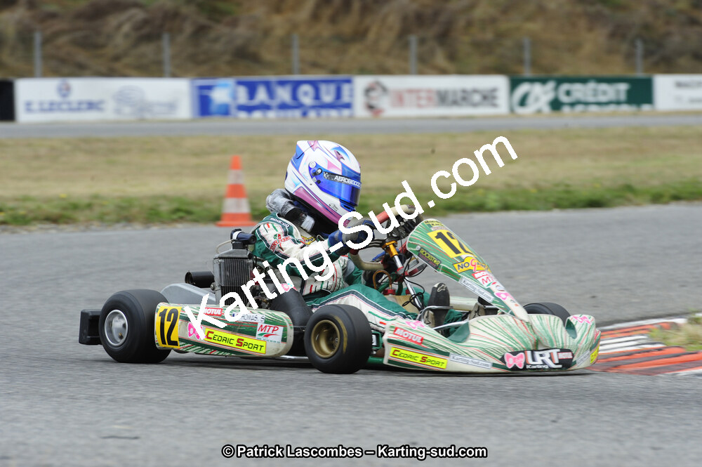 08/09/2013 : Course Club de Muret (Photos Patrick Lascombes) 2013 — karting