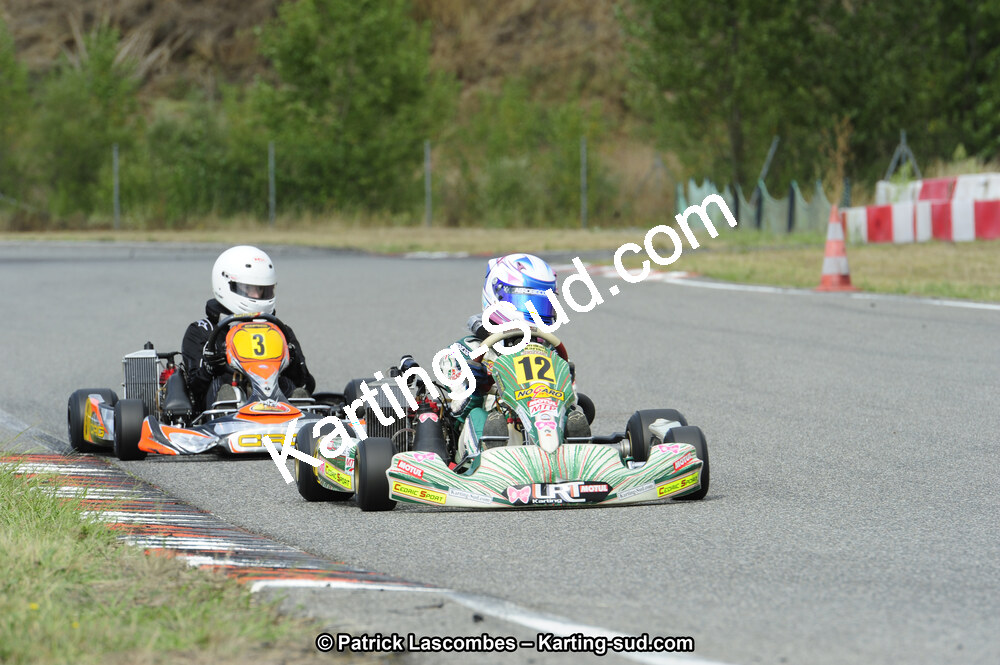 08/09/2013 : Course Club de Muret (Photos Patrick Lascombes) 2013 — karting