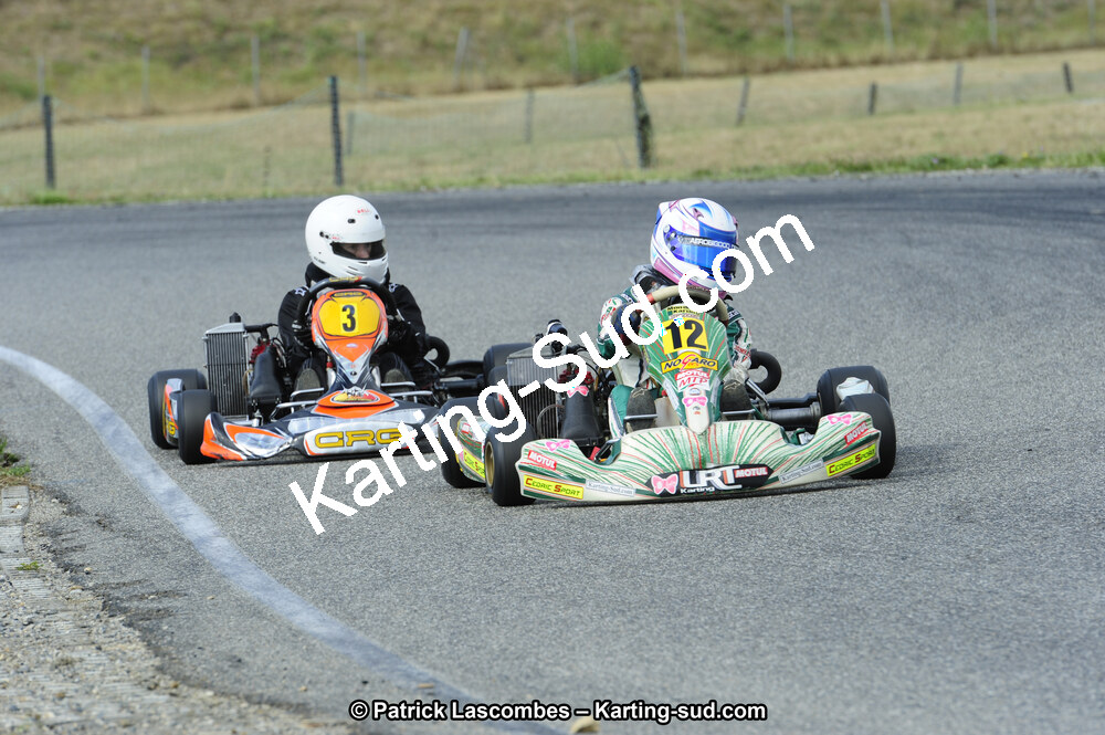 08/09/2013 : Course Club de Muret (Photos Patrick Lascombes) 2013 — karting