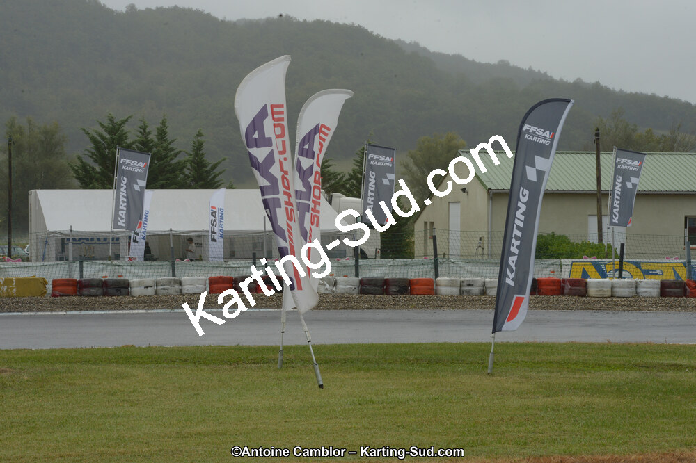 DSC_4446.jpg