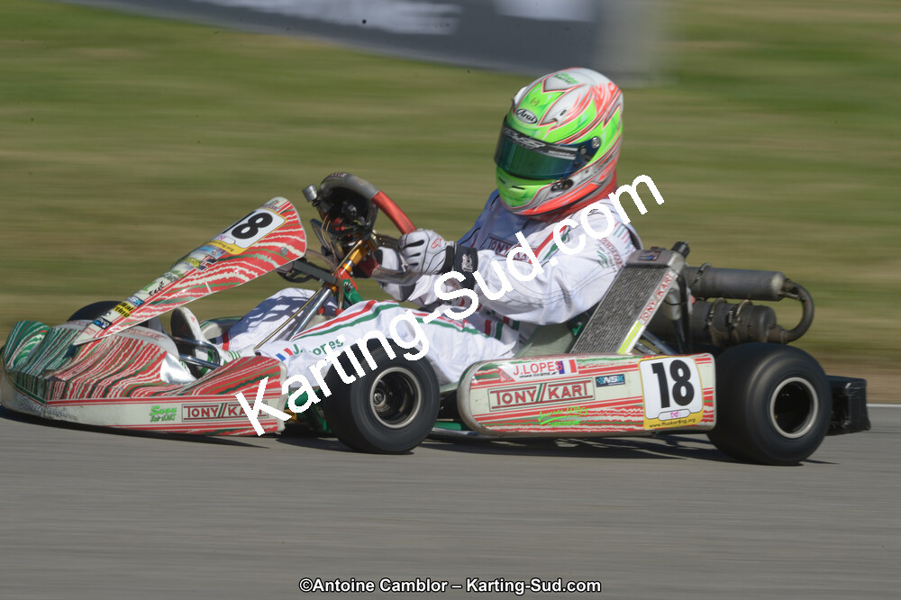 DSC_6956.jpg
