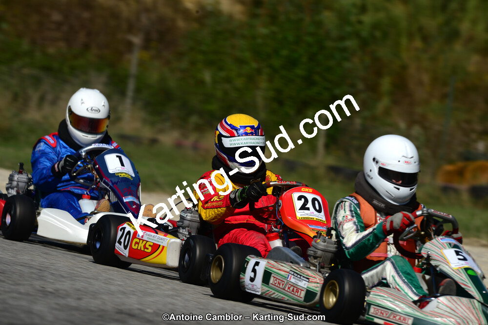 DSC_7076.jpg