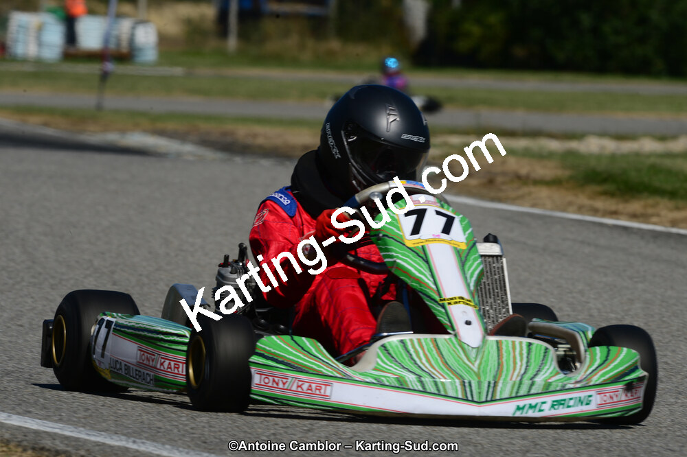 DSC_7781.jpg