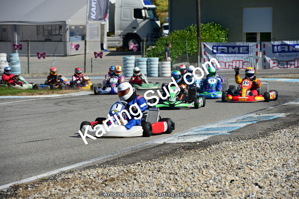 DSC_7853.jpg