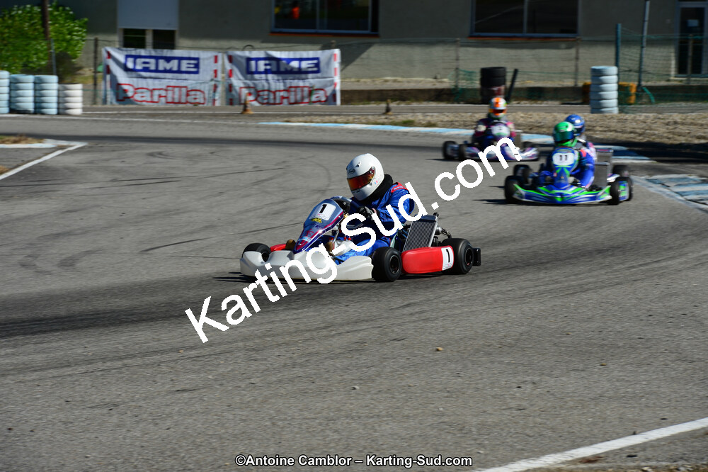 DSC_7937.jpg