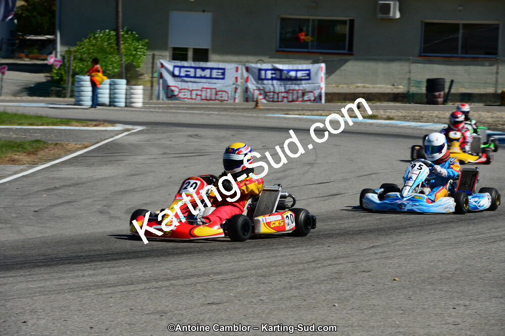 DSC_7939.jpg