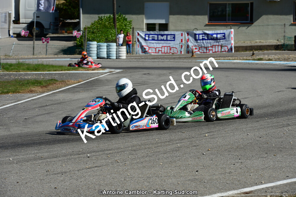 DSC_7951.jpg