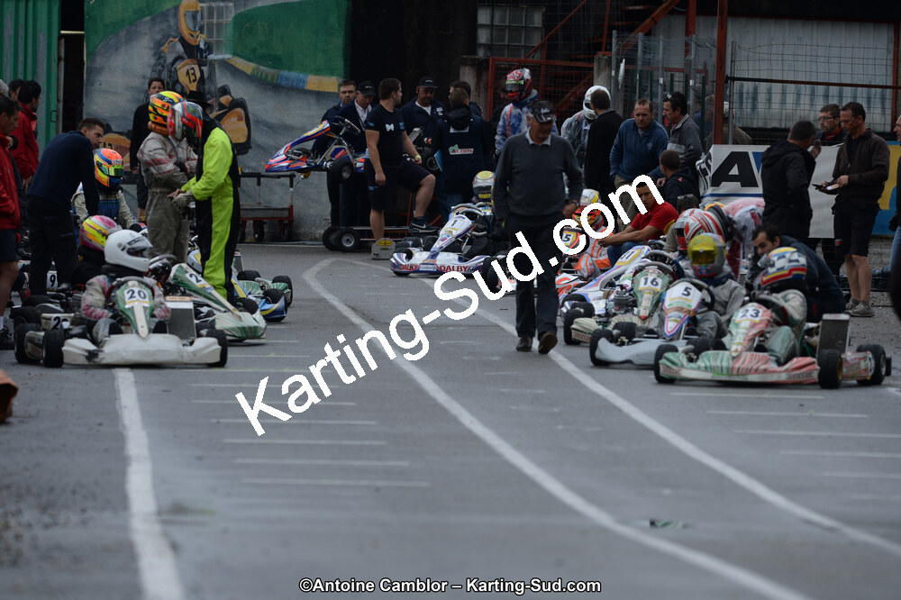 DSC_8223.jpg