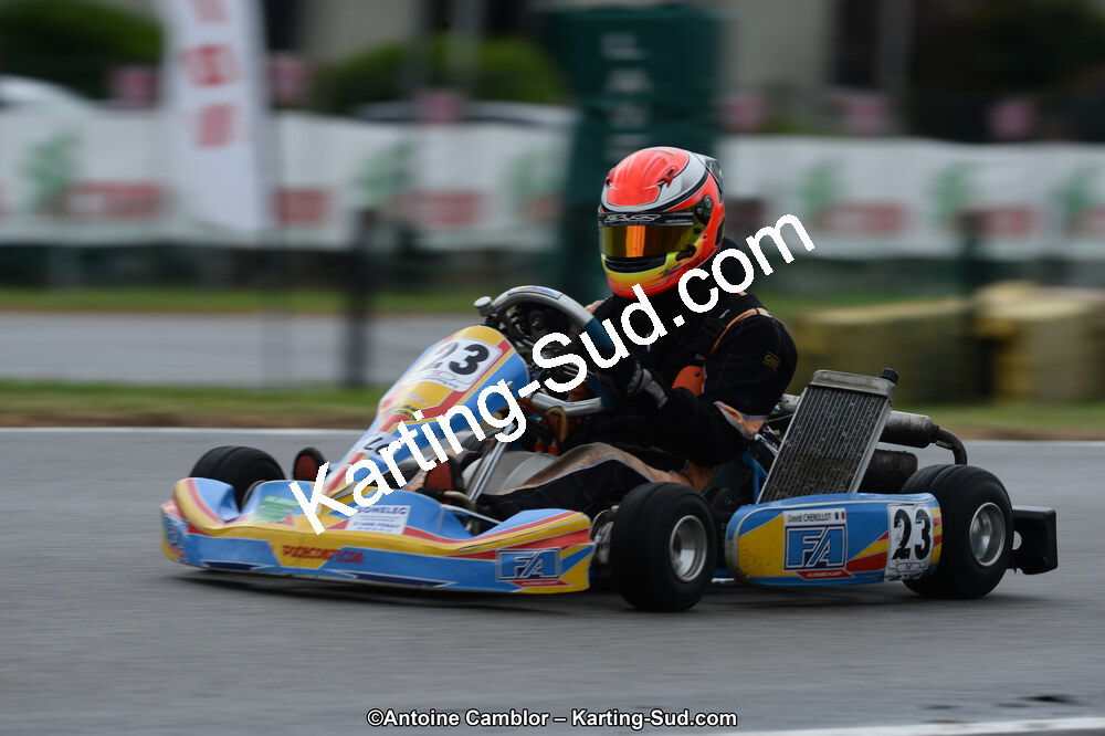 DSC_8411.jpg