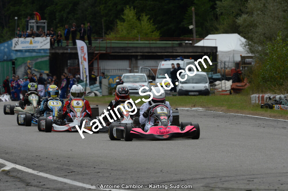 DSC_9519.jpg