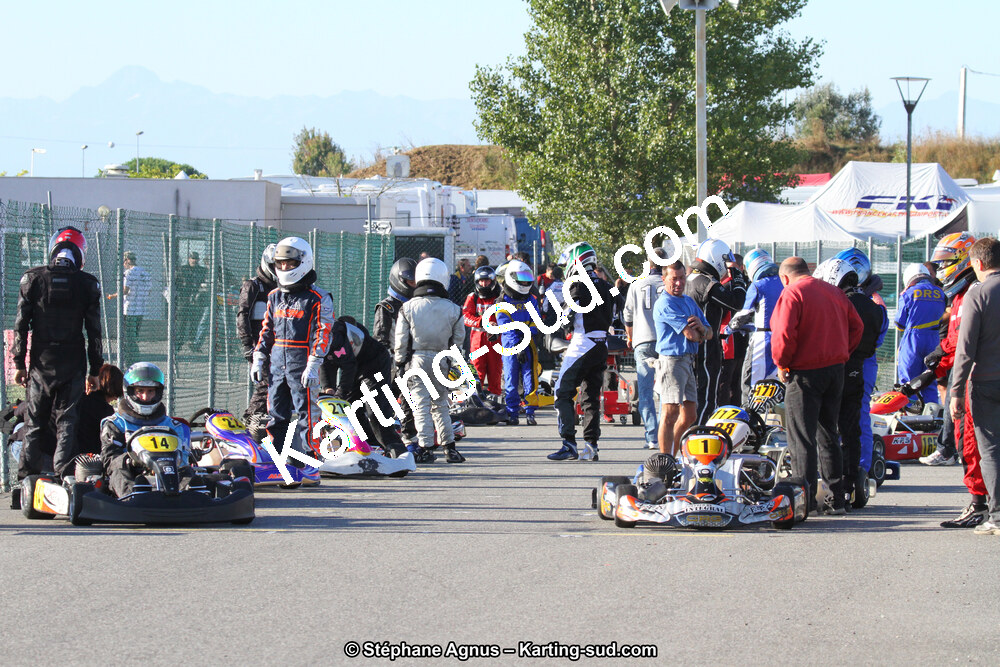 IMG_8461.JPG